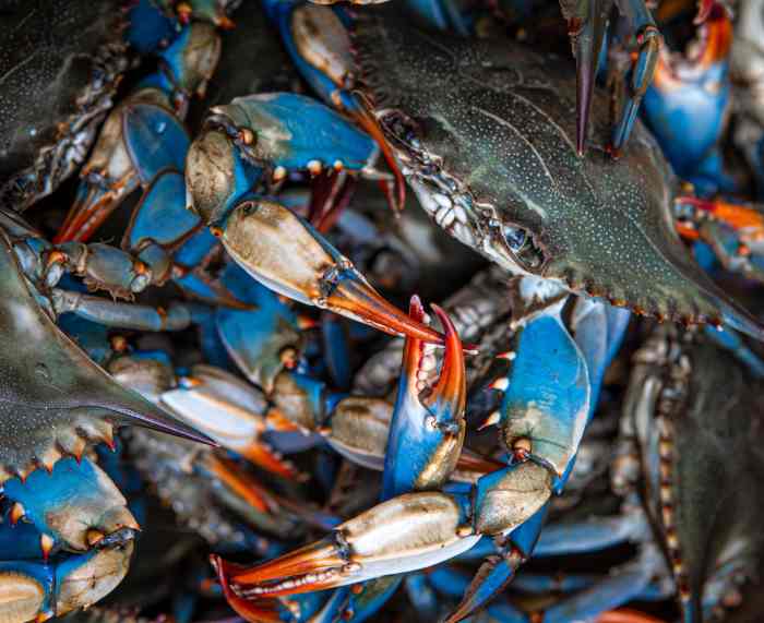 How to cook blue crab asian style